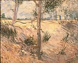 Dans Paintings - Arbre dans un champ 1887 by Vincent van Gogh